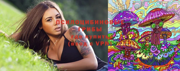 дживик Аркадак