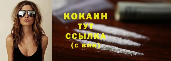 соль ск Арсеньев
